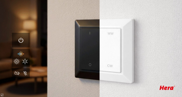 Wandtaster ZigBee / Alexa - Dynamic 